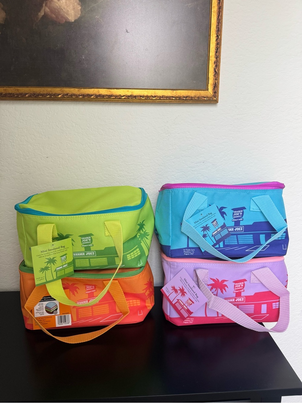 Trader Joe's Mini Insulated Cooler Bag - Bright Multi Colors